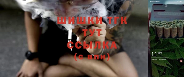 таблы Осинники