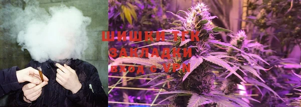 крисы Нягань