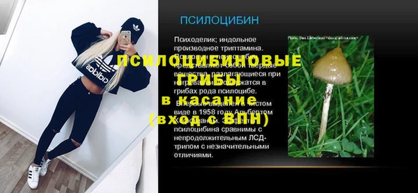 крисы Нягань